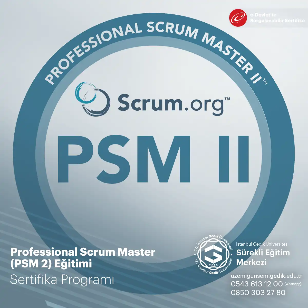 Professional Scrum Master (PSM 2) Eğitimi 